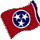 Tennessee state flag